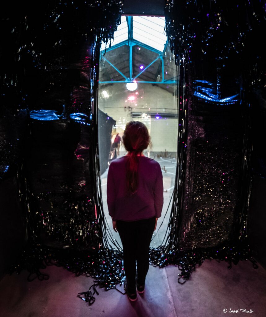 Exposition "Les Nouveaux Sauvages" de Maison Gutenberg aux Halles du Faubourg, photo de Lionel Rault