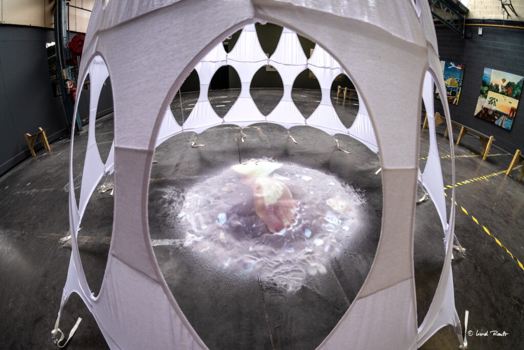 Exposition "Les Nouveaux Sauvages" de Maison Gutenberg aux Halles du Faubourg, photo de Lionel Rault