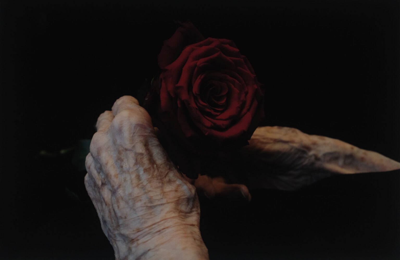 Atelier floral avec Giulia Zanvit et Dounia Janeaud, photo de Mathilde Corbet pour Maison Gutenberg